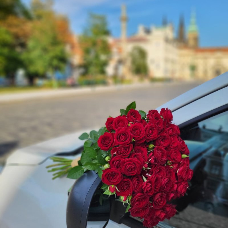 Fotografie doručení kytice červených růží v Praze