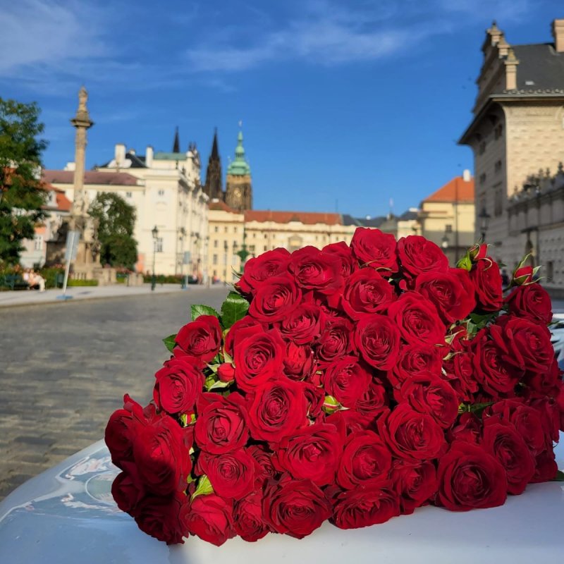 Rozvoz a doručení kytice rudých růží v Praze 1