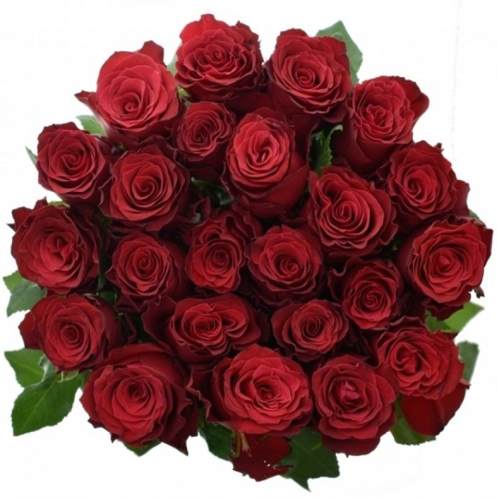 Červená růže k Valentýnu Rhodos
