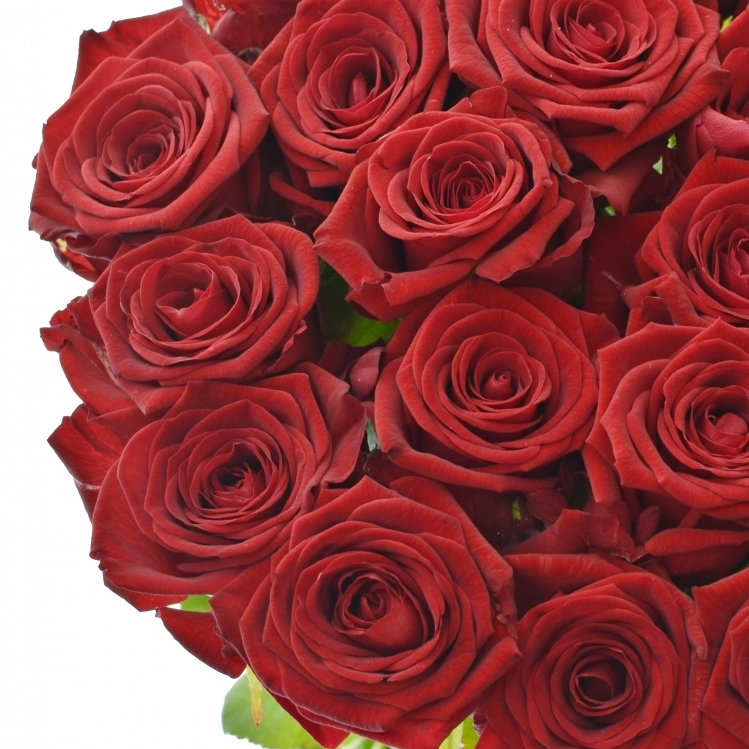 Rudá růže Red Naomi! na Valentýna