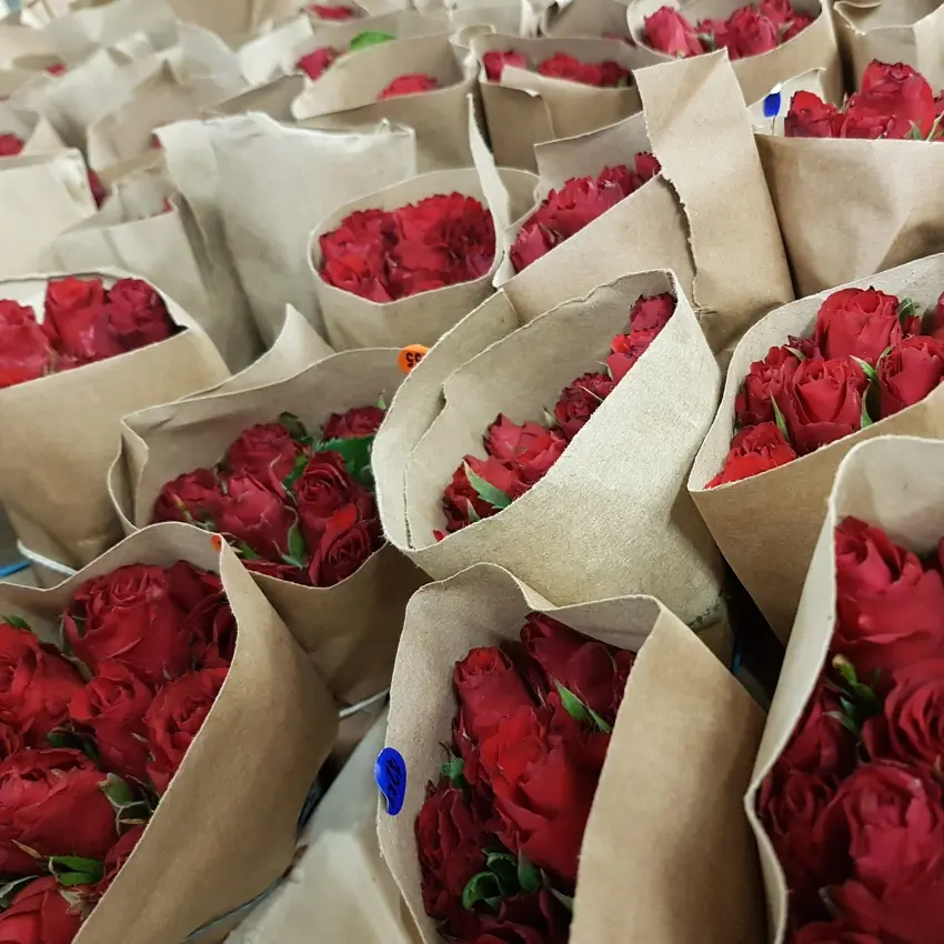 Ekologicke balení dovozových růží