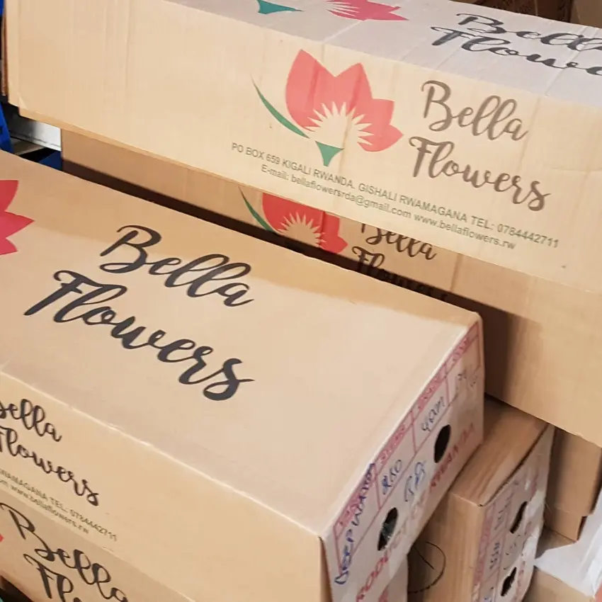 Papírové obaly na růže pro leteckou přepravu pro Florea