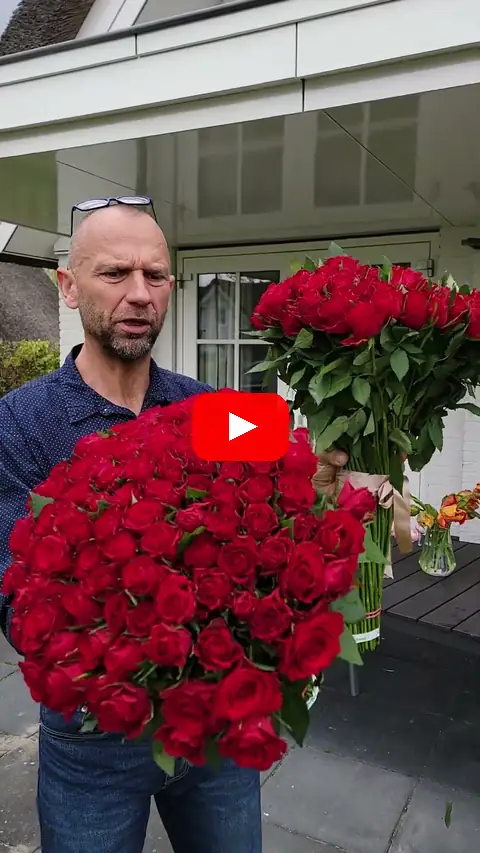 Video: 100 Red Calypso délka 50 a 60 centimetrů