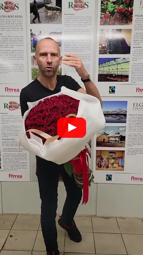 Video: 100 růží Ever Red XXL v luxusní vazbě kytice