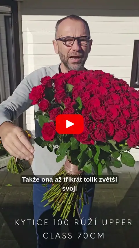 Video: 100 růží Upper Class v délce 70cm