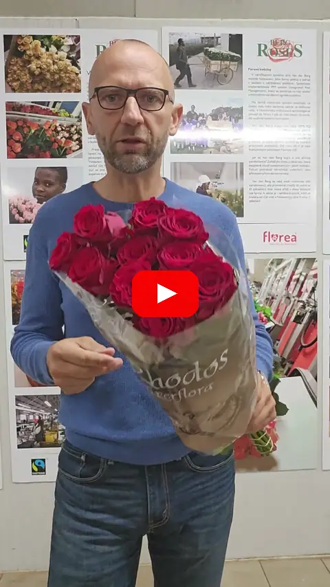 Video: Červené růže Rhodos