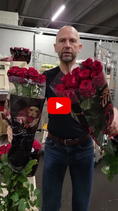 Video: Dlouhé růže Red Naomi srovnání délek