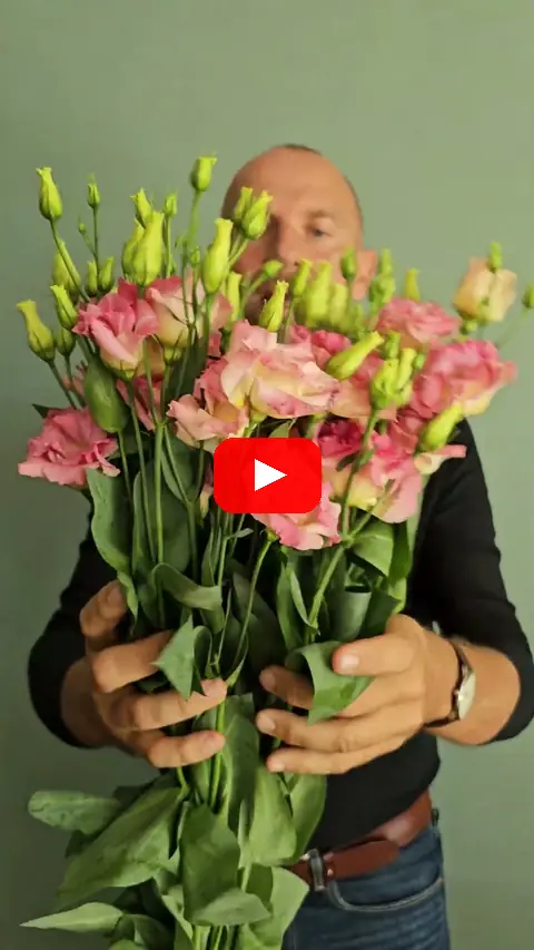 Video: Mix jícnovek eustoma