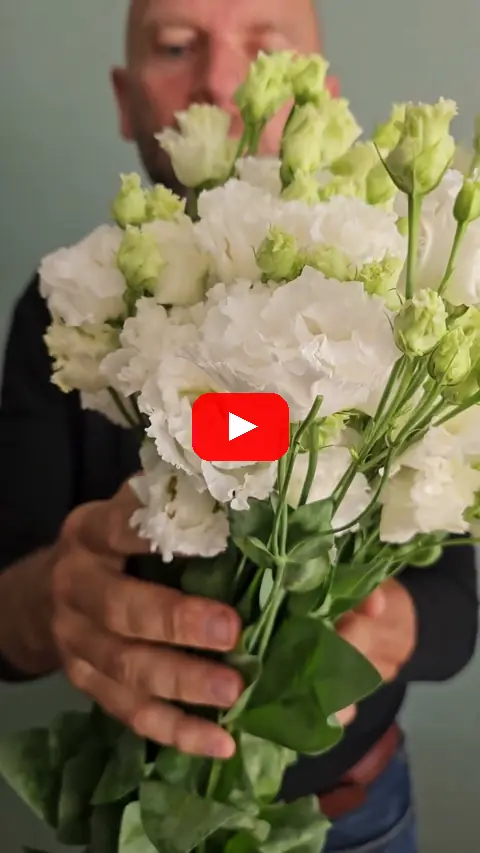Video: EUSTOMA RUSSELLIANUM G ALISSA PURE WHITE