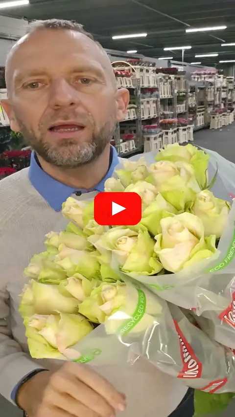 Video: Jak dlouho vám vydrží růže ve váze čerstvé