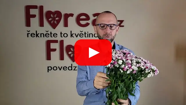 Video: Karafiát BARBATUS