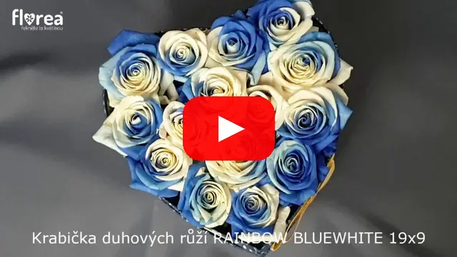 Video: Krabička duhových růží RAINBOW BLUEWHITE