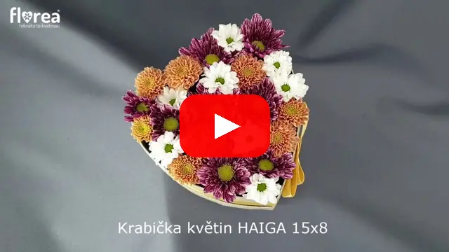 Video: Krabička květin HAIGA