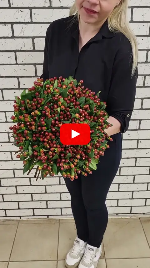Video: Hypericum Florea