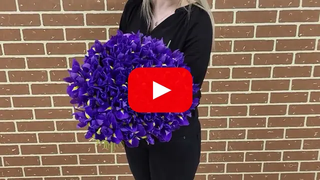 Video: Kytice 100 IRIS BLUE MAGIC