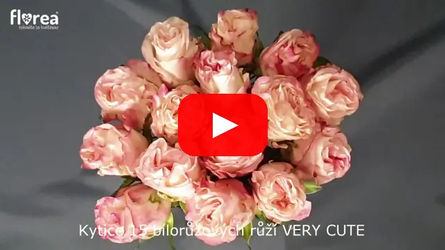 Video: Kytice 15 bílorůžových růží VERY CUTE