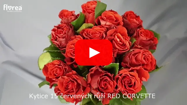 Video: Kytice 15 červených růží RED CORVETTE