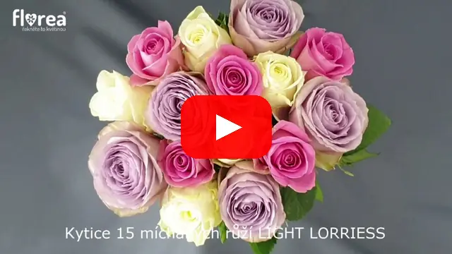Video: Kytice 15 míchaných růží LIGHT LORRIESS
