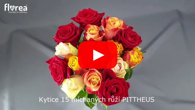 Video: Kytice 15 míchaných růží PITTHEUS
