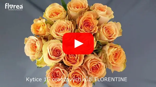 Video: Kytice 15 oranžových růží FLORENTINE