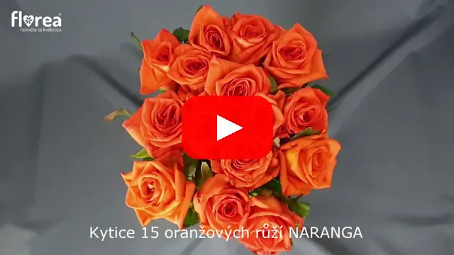 Video: Kytice 15 oranžových růží NARANGA
