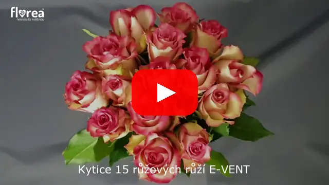 Video: Kytice 15 růžových růží E-VENT