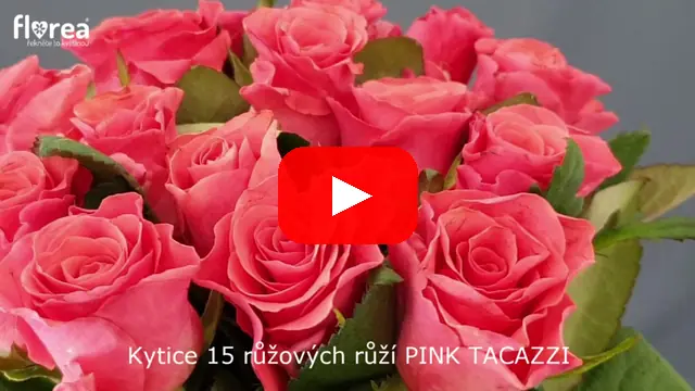 Video: Kytice 15 růžových růží PINK TACAZZI