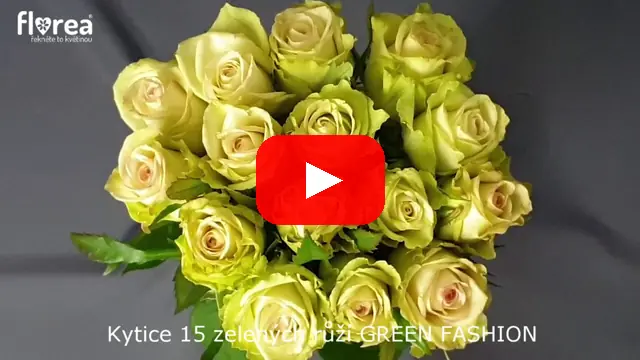 Video: Kytice 15 zelených růží GREEN FASHION