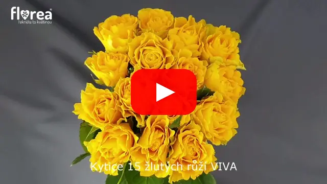 Video: Kytice 15 žlutých růží VIVA