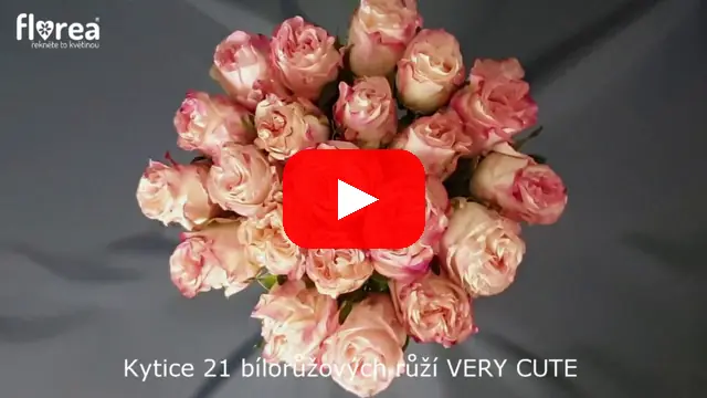 Video: Kytice 21 bílorůžových růží VERY CUTE