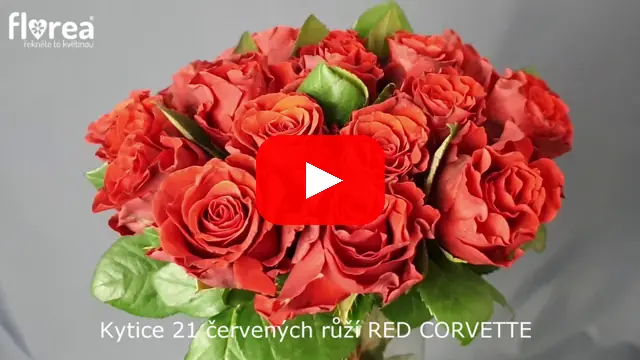 Video: Kytice 21 červených růží RED CORVETTE