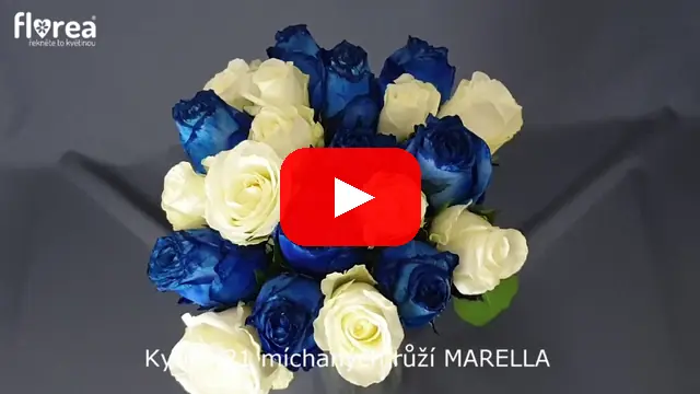 Video: Kytice 21 míchaných růží MARELLA