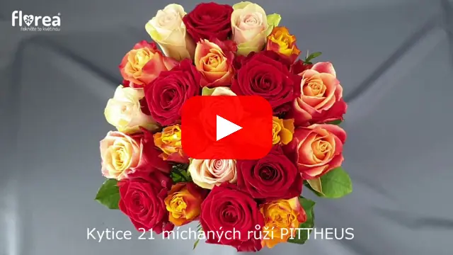 Video: Kytice 21 míchaných růží PITTHEUS