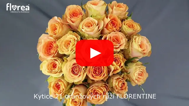 Video: Kytice 21 oranžových růží FLORENTINE