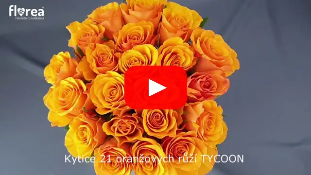 Video: Kytice 21 oranžových růží TYCOON