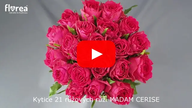 Video: Kytice 21 růžových růží MADAM CERISE