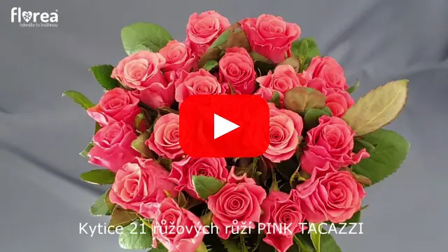 Video: Kytice 21 růžových růží PINK TACAZZI