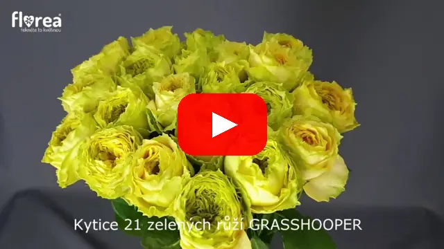 Video: Kytice 21 zelených růží GRASSHOOPER