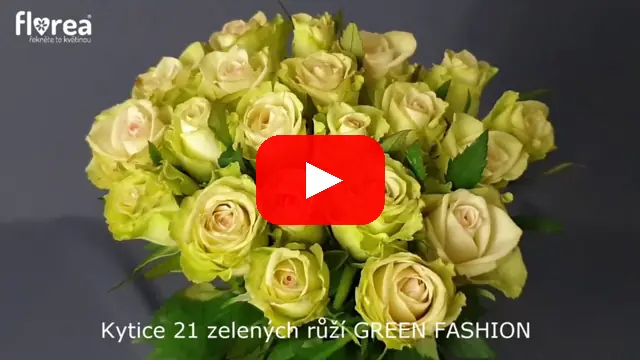 Video: Kytice 21 zelených růží GREEN FASHION