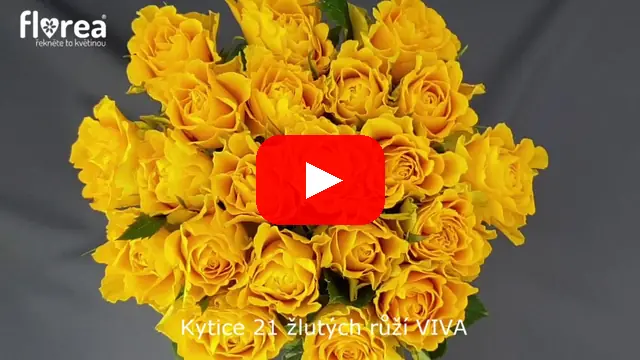 Video: Kytice 21 žlutých růží VIVA