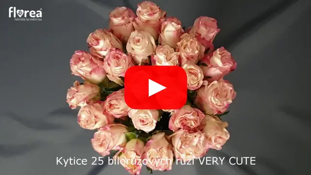Video: Kytice 25 bílorůžových růží VERY CUTE