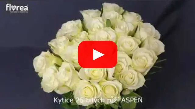 Video: Kytice 25 bílých růží ASPEN