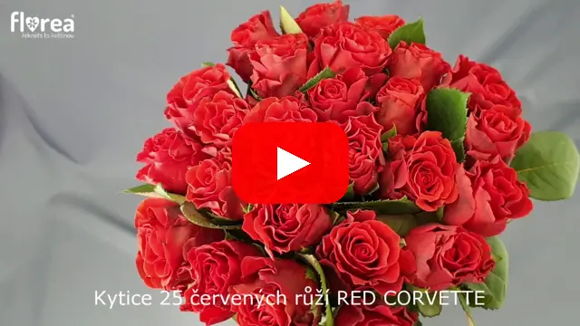 Video: Kytice 25 červených růží RED CORVETTE