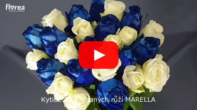 Video: Kytice 25 míchaných růží MARELLA
