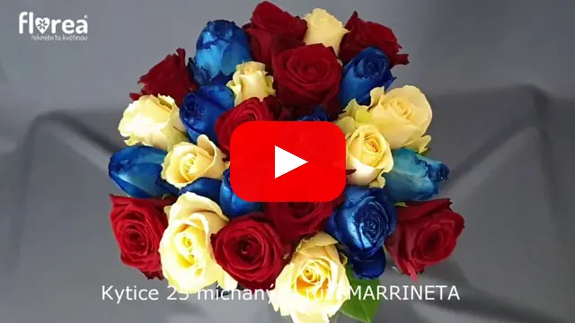 Video: Kytice 25 míchaných růží MARRINETA