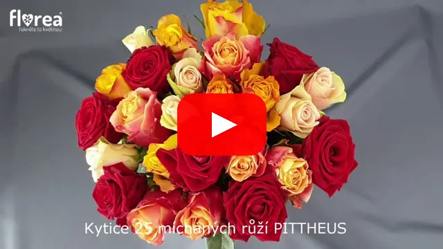 Video: Kytice 25 míchaných růží PITTHEUS