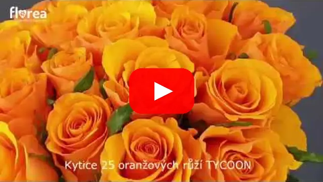 Video: Kytice 25 oranžových růží TYCOON