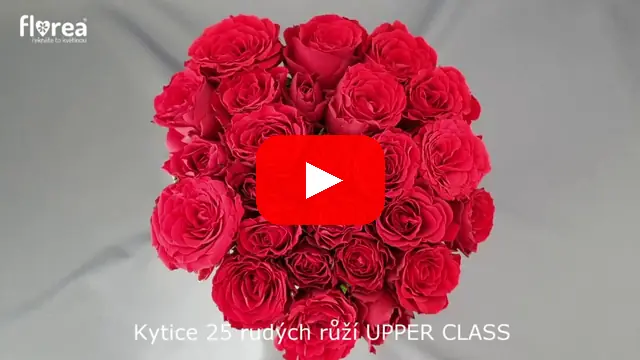 Video: Kytice 25 rudých růží UPPER CLASS