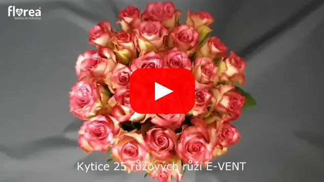 Video: Kytice 25 růžových růží E-VENT