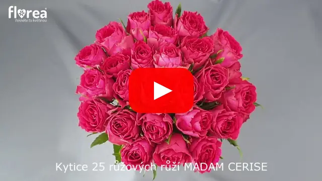 Video: Kytice 25 růžových růží MADAM CERISE
